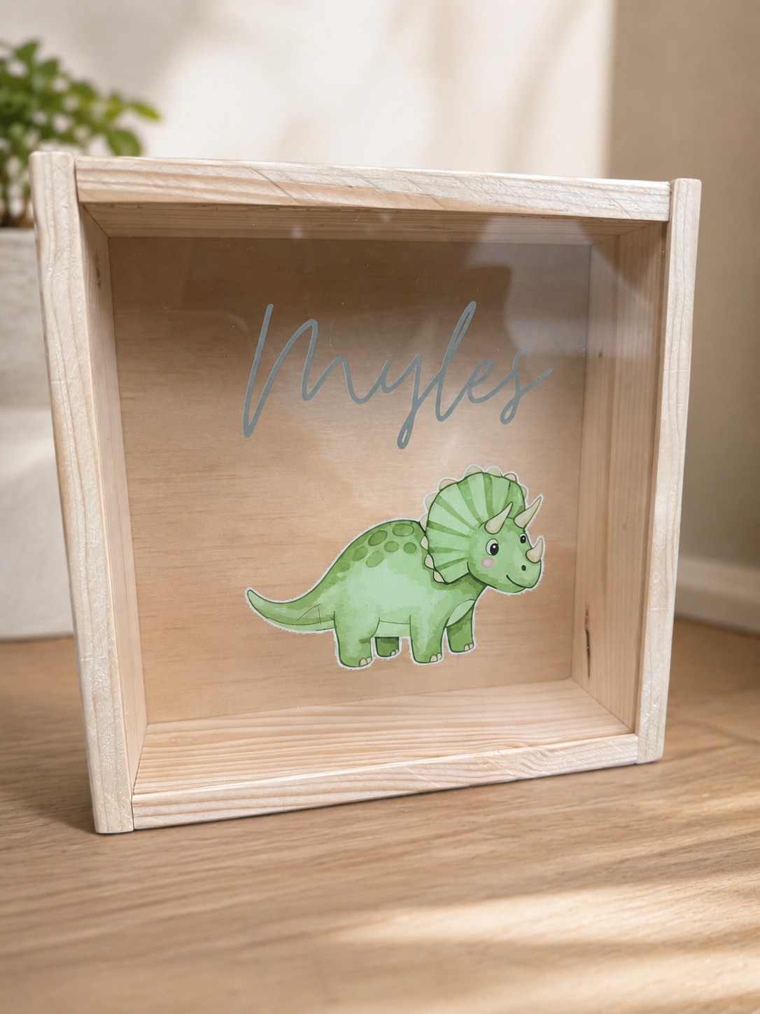 Personalised Wooden Money Box