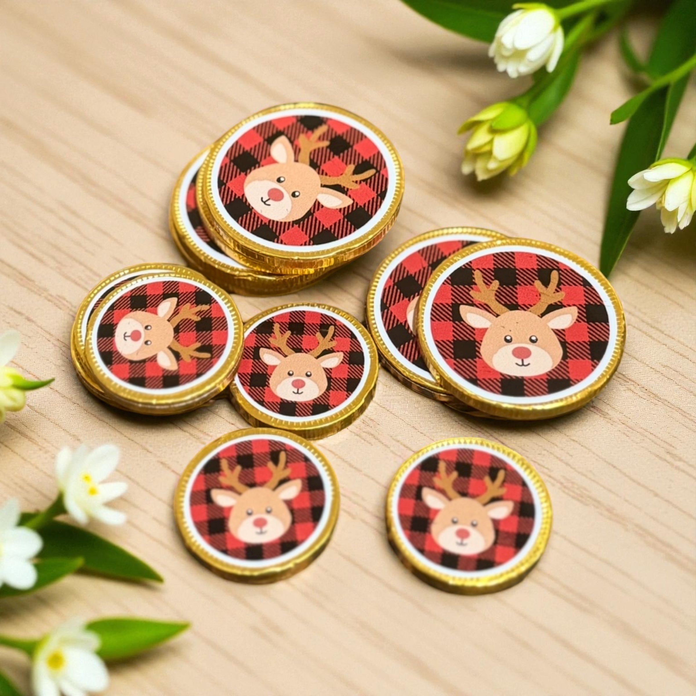 Christmas chocolate coins