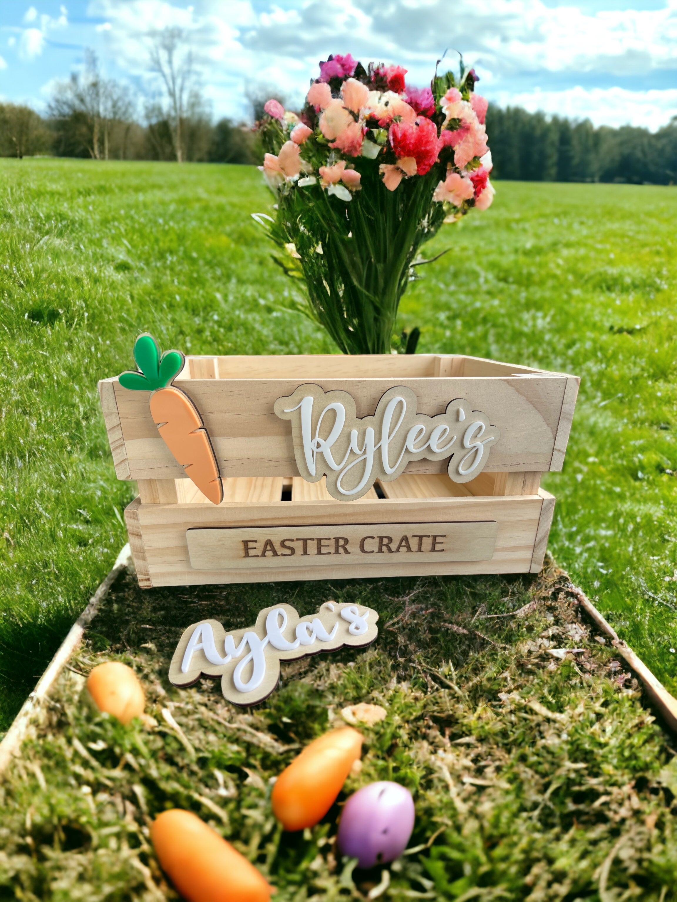 Interchangeable crate - 4 Little Dreamers