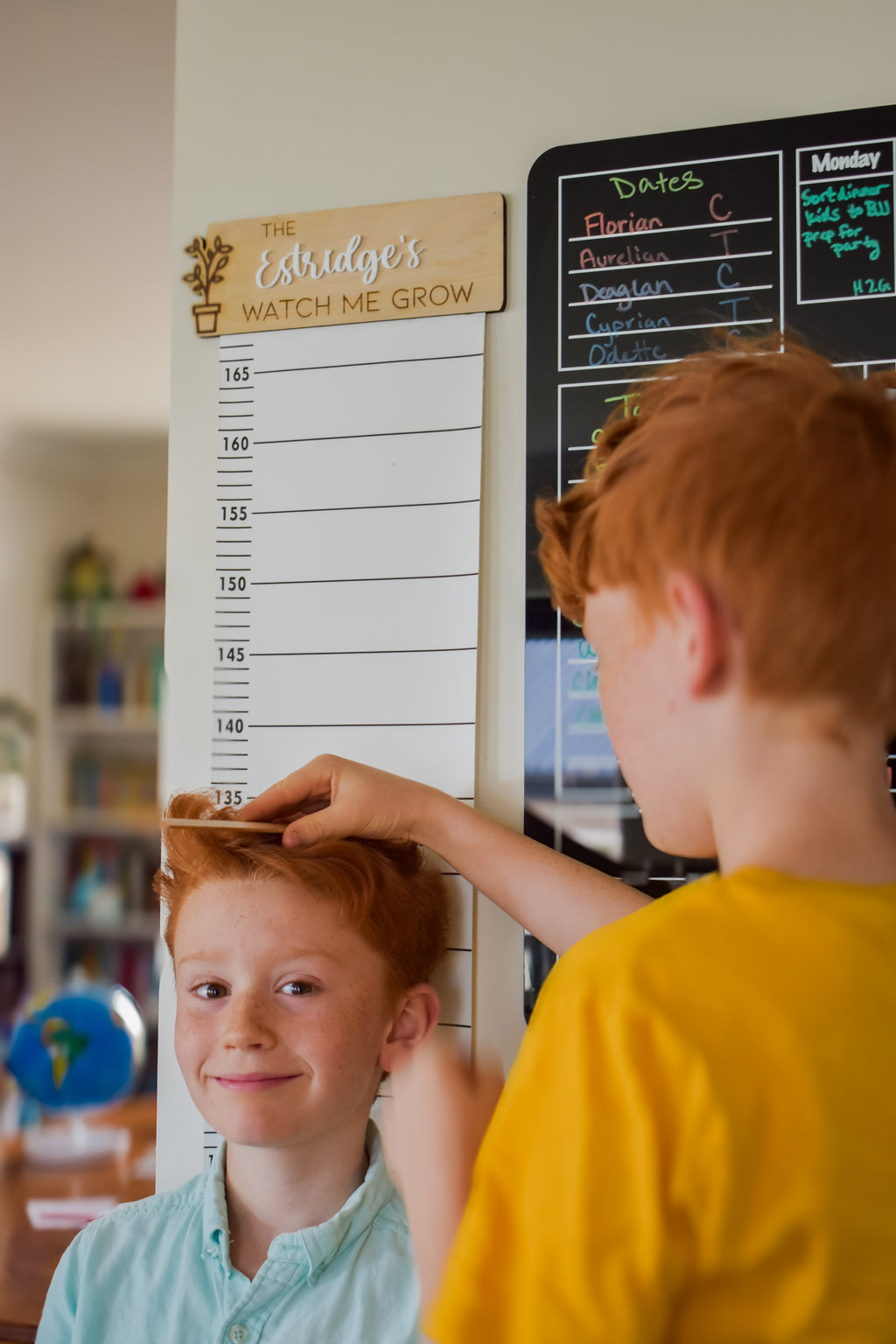 Height chart canvas style