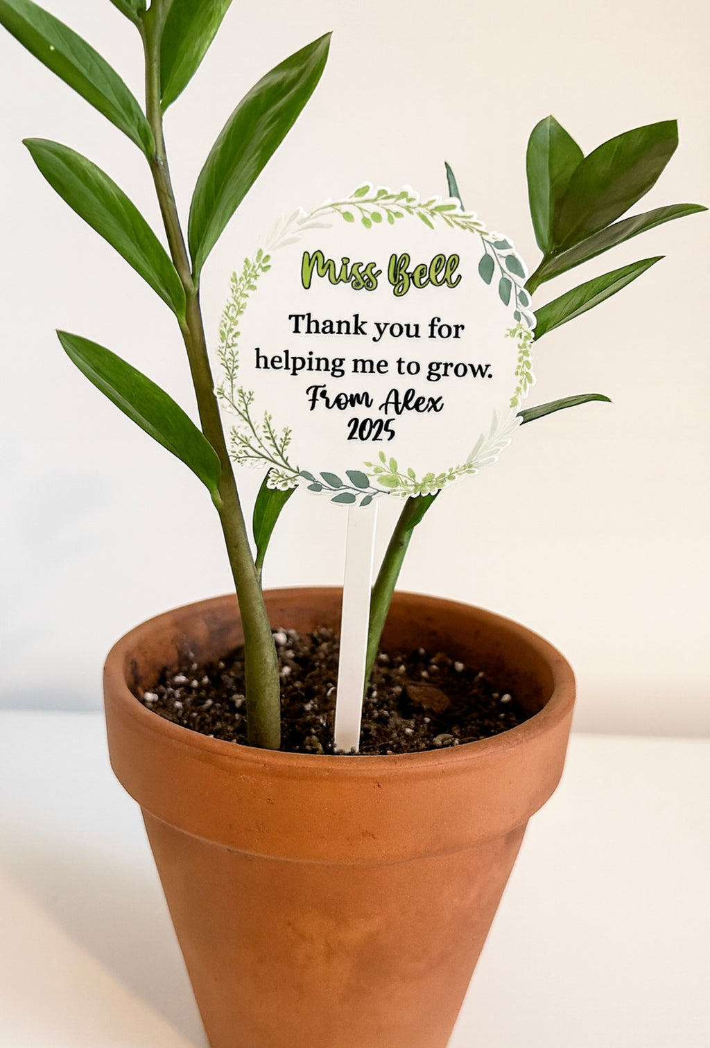 Teachers personalised plant stakes