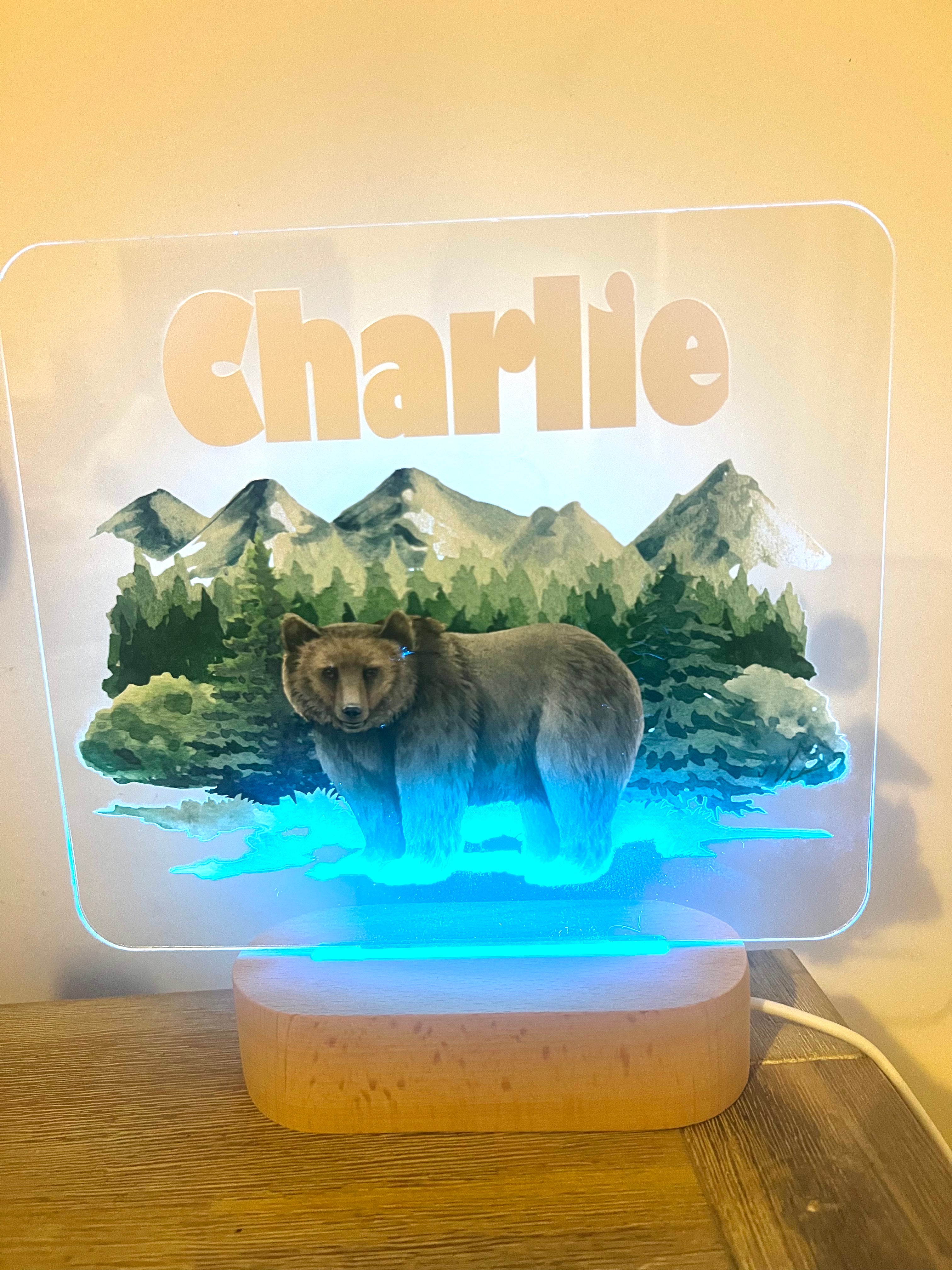 Bear in the woods night light - 4 Little Dreamers
