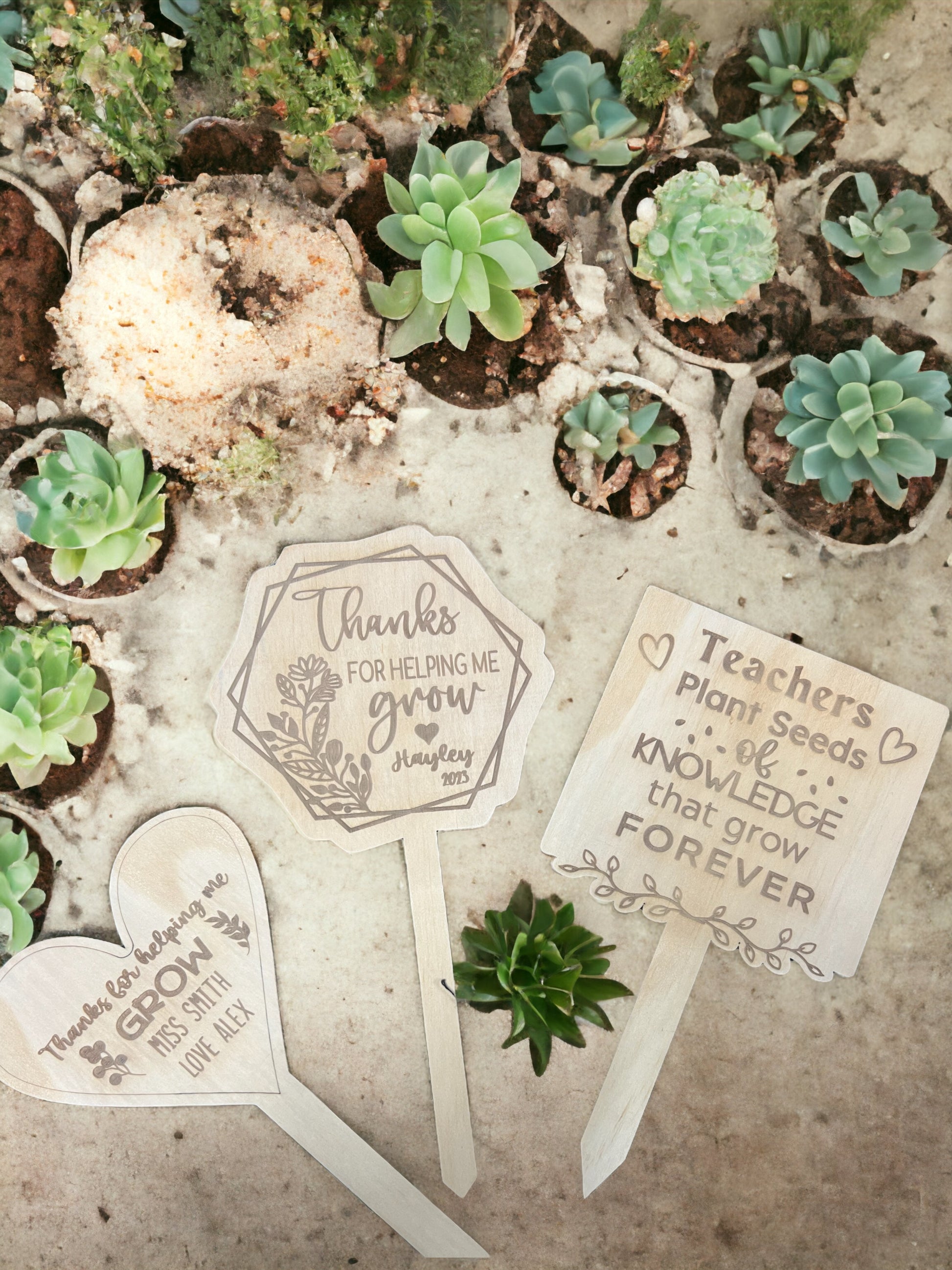 Teachers plant stakes - 4 Little Dreamers