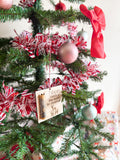 Christmas money ornaments