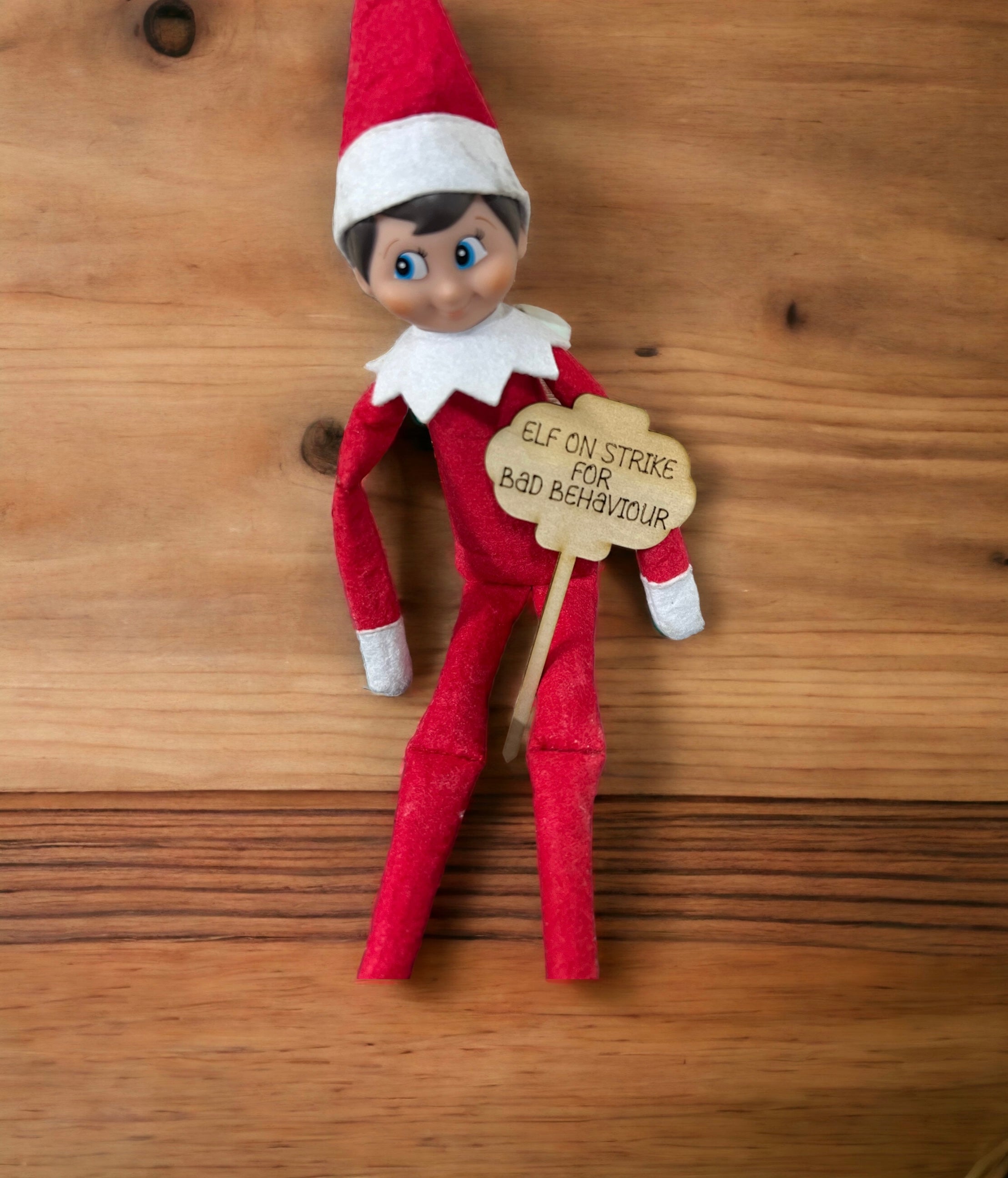 Elf prop - elf on strike sign - 4 Little Dreamers