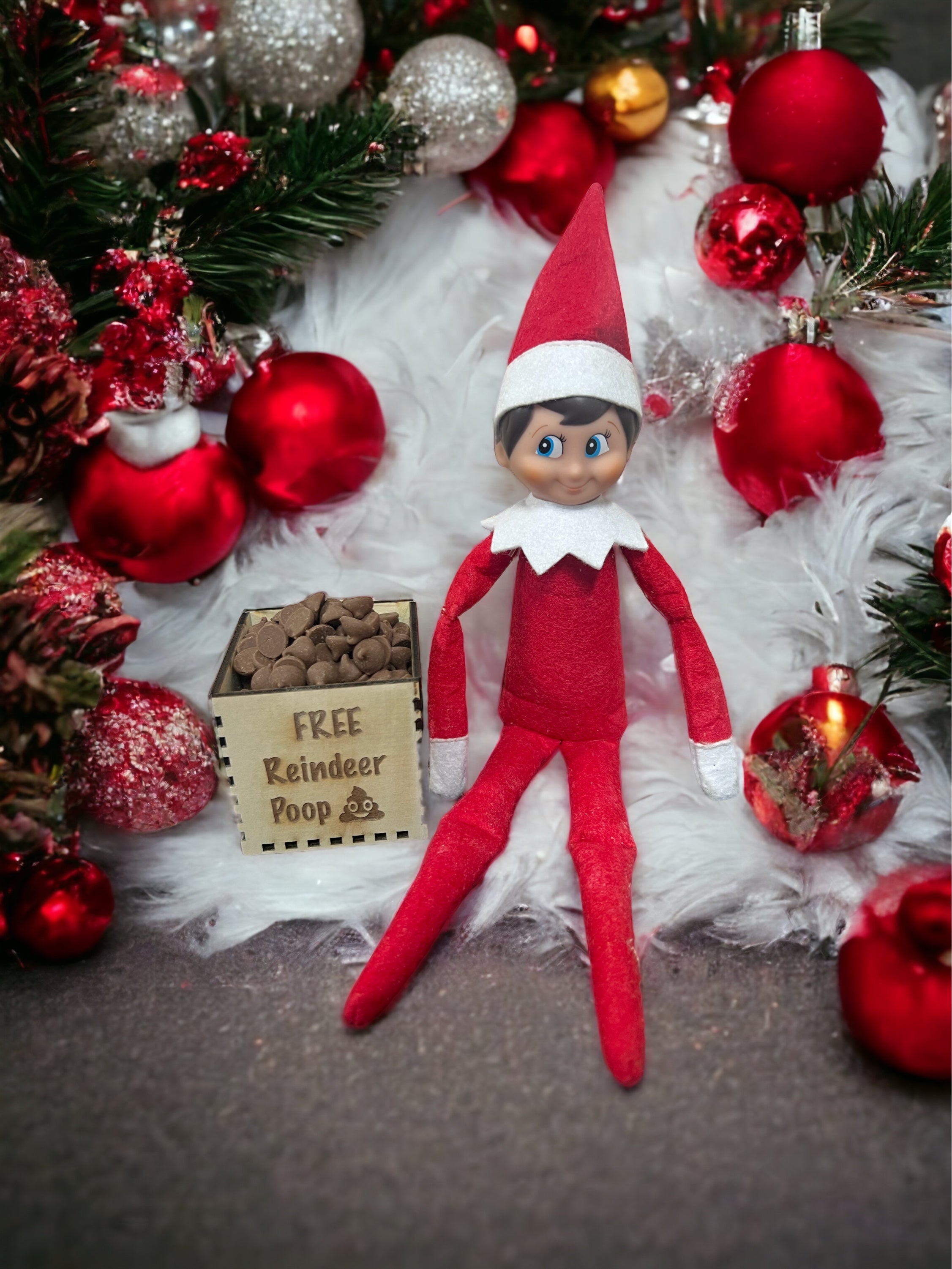 Elf prop - reindeer poop box - 4 Little Dreamers
