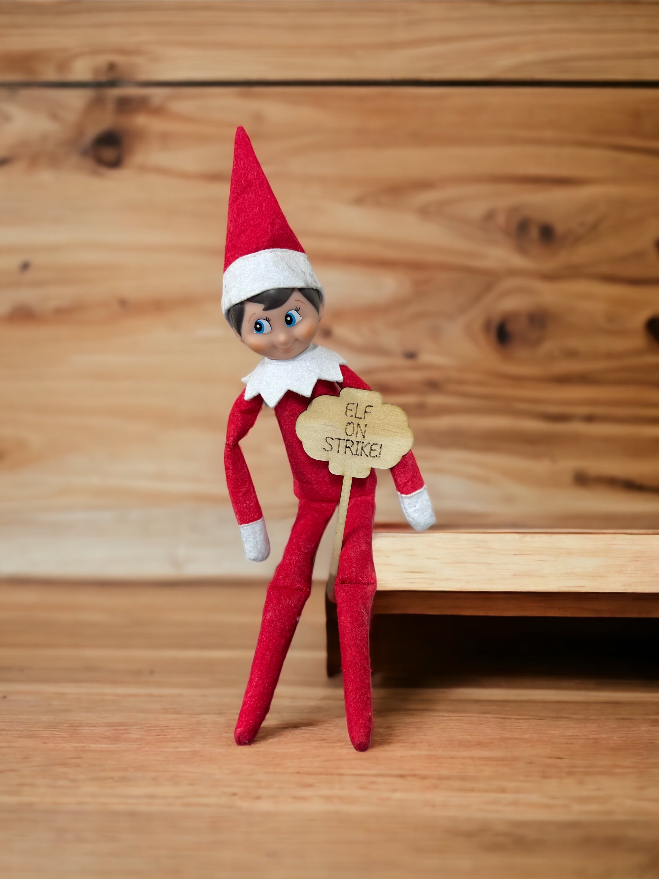 Elf prop - elf on strike sign - 4 Little Dreamers